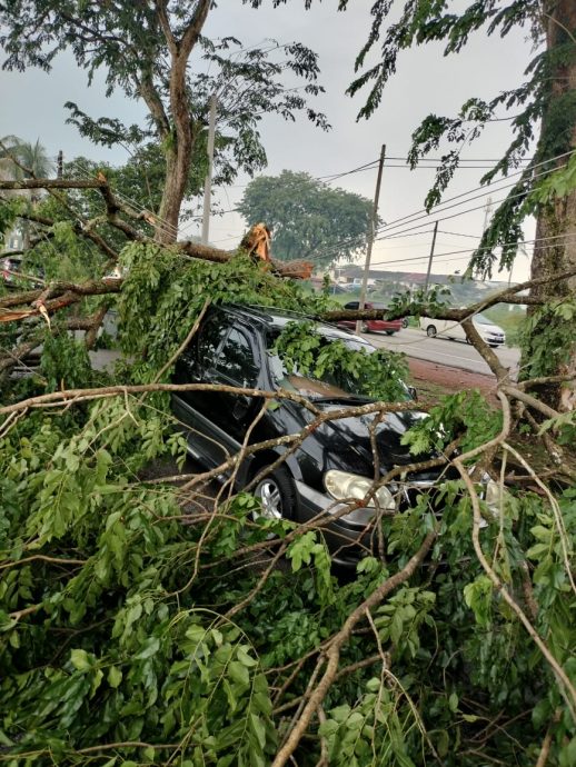 （已签发）柔：中江午后风雨劫   房屋车辆被砸   MyKiosk搬家