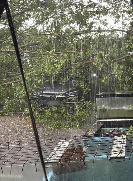 新山西北区热到汗如雨下    东北区狂风暴雨下冰雹