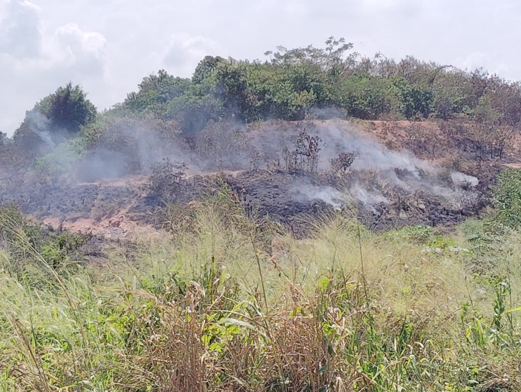 天气炎热干旱   巴口垃圾山再次自燃