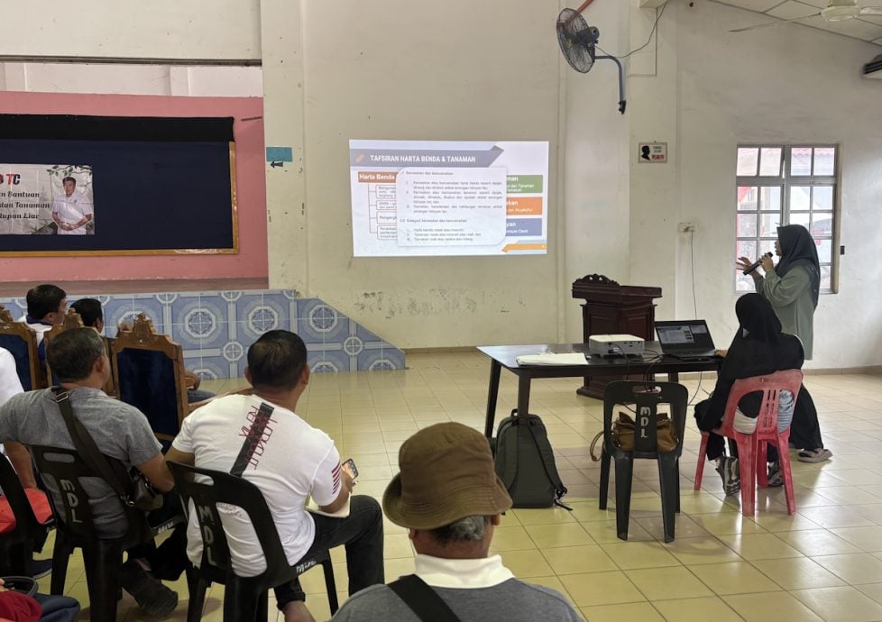 （已签发）柔：**版二头**农作物住家遭野生动物破坏   可向野生动物局索赔