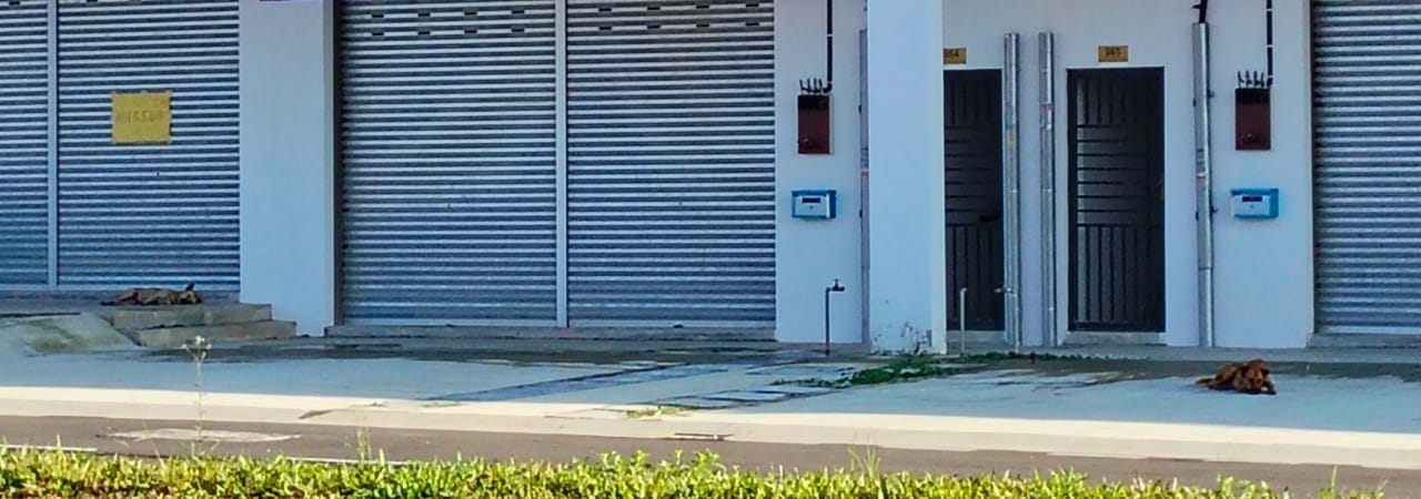 （已签发）柔：**版二头**古来商区野狗成群   居民忧安全卫生问题