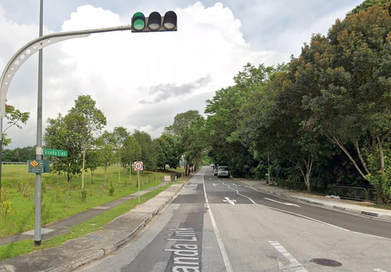 （已签发）柔：狮城二三事：强奸12岁女童 男子罪成