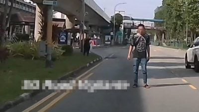 男子站狮城马路中央   疑“求撞”被谴责害人害己