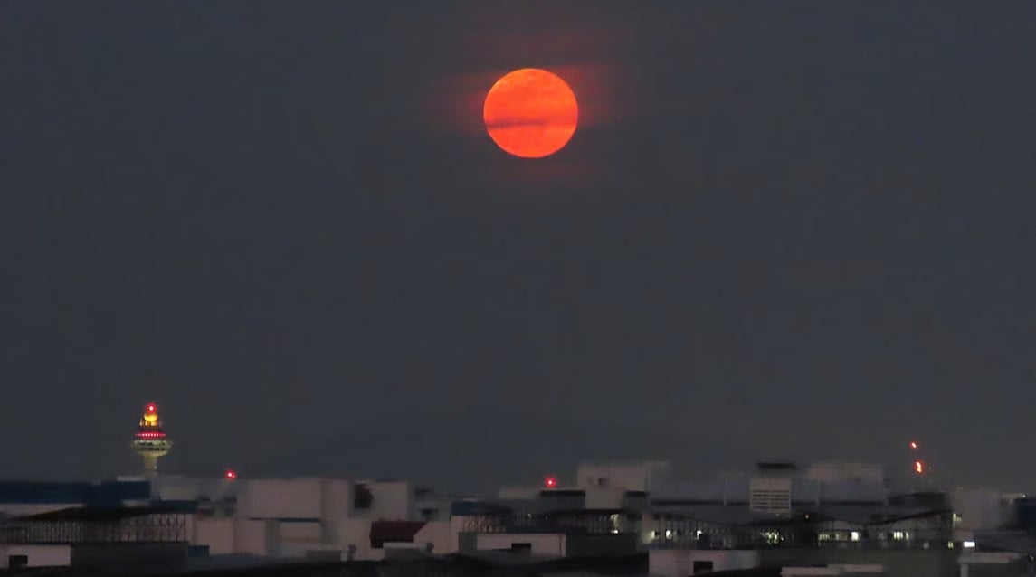 (已签发)柔:狮城二三事:超级月亮“丰收月”登场 民众社媒分享美图