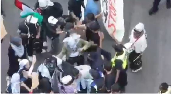 （已签发）联邦宪法保和平集会权  内政部：不得妨碍执法