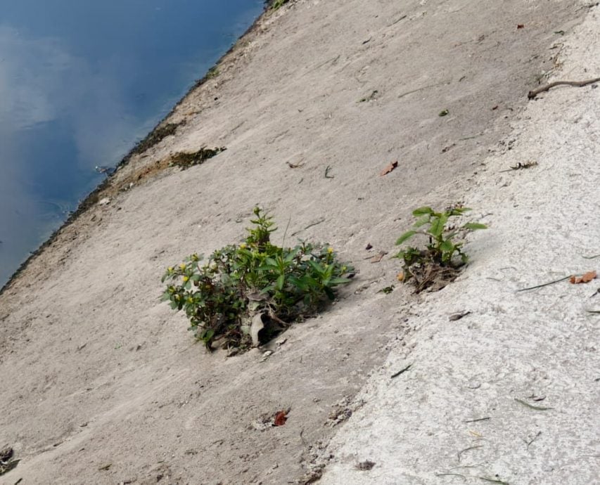 （早报可头）大都会/梁德志争取3项防洪工程，四住宅排水系统展开全面研究