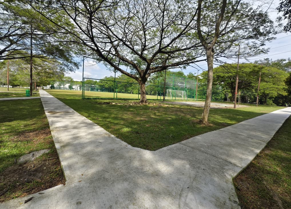 (版2头)大都会/公园跑道年久失修下沉积水,市厅拨50万全面提升