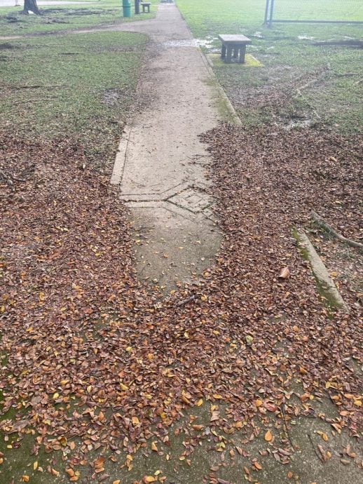 (版2头)大都会/公园跑道年久失修下沉积水,市厅拨50万全面提升