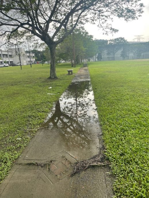 (版2头)大都会/公园跑道年久失修下沉积水,市厅拨50万全面提升