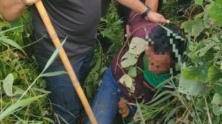 避警追捕闯油棕园  疑犯撞闸门遁入林落网