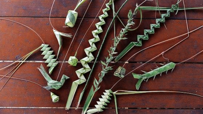 The coconut leaf army