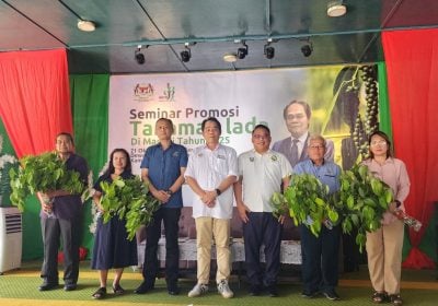 安宜奥：具备优越条件 . 马鲁帝 峇南 成胡椒新增长区