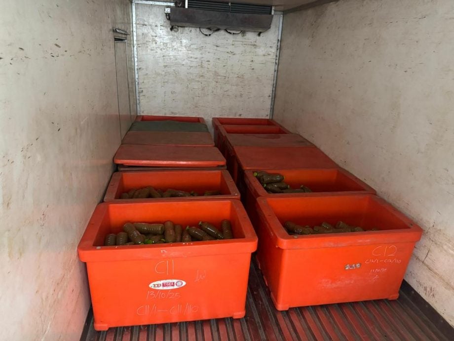 PGA展“利爪行动”截查罗里 起1.63吨哥冬叶 1320瓶哥冬水