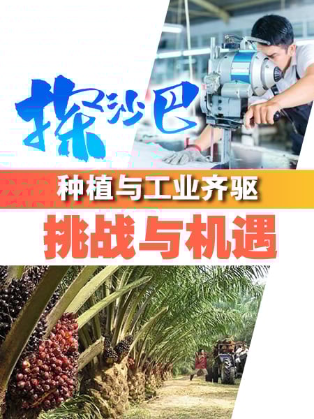 探沙巴｜种植与工业齐驱的挑战与机遇