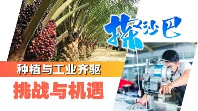 探沙巴｜种植与工业齐驱的挑战与机遇