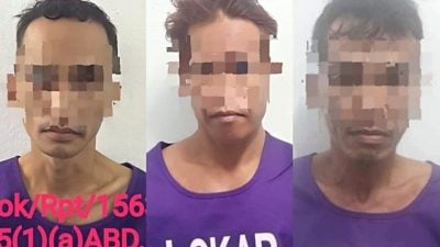 吸毒又有案底．砂拉卓警方逮3男