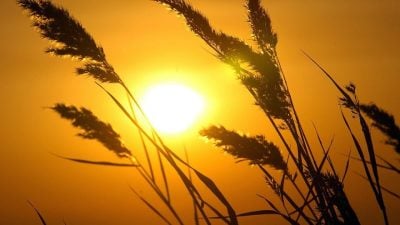 讀者投稿:《夕陽最美》∕ 文: 戴慶義 (前國中∕獨中校長,華教工作者)