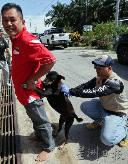 【狂犬病/02】处理及时不致命 狂犬病可预防