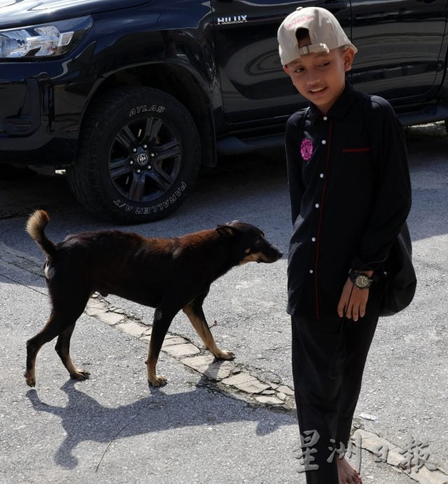 【狂犬病/02】处理及时不致命 狂犬病可预防