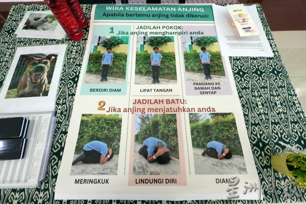 【狂犬病/02】处理及时不致命 狂犬病可预防