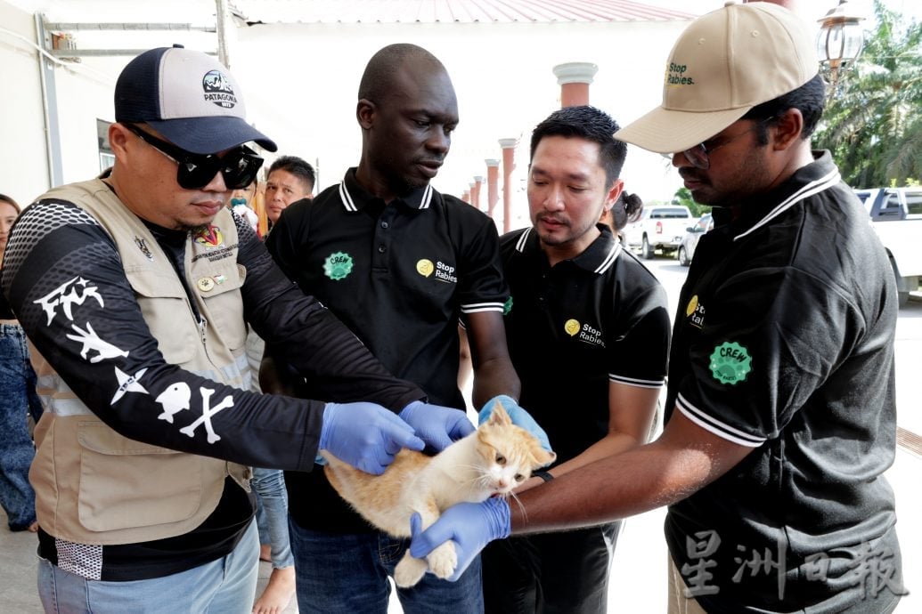 【狂犬病/02】处理及时不致命 狂犬病可预防