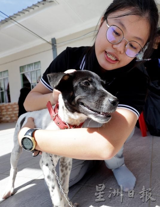 【狂犬病/02】处理及时不致命 狂犬病可预防