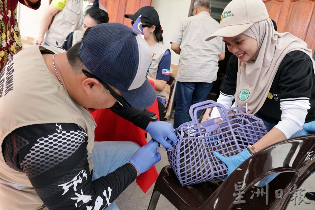 【狂犬病/01】死亡率92% 犬猫都会感染狂犬病