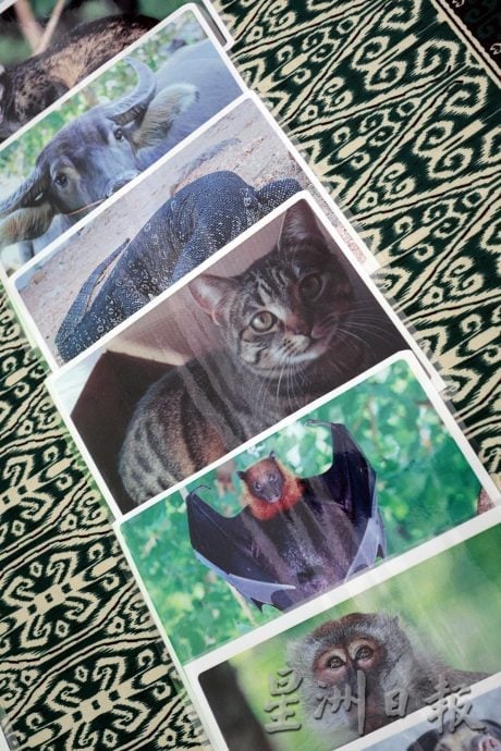 【狂犬病/01】死亡率92% 犬猫都会感染狂犬病