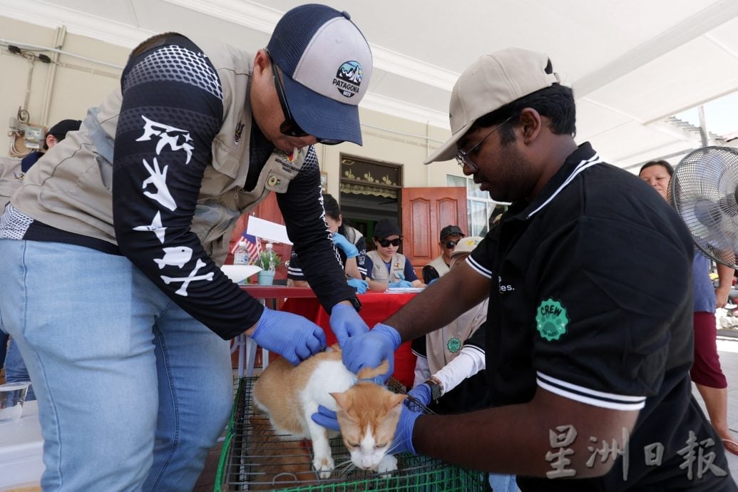 【狂犬病/01】死亡率92% 犬猫都会感染狂犬病