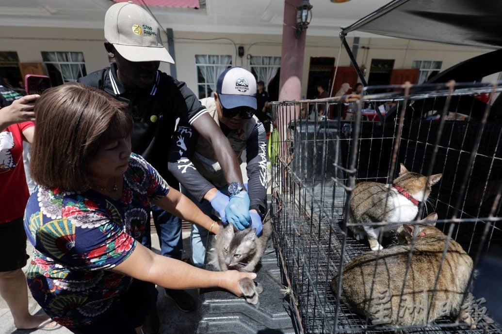 【狂犬病/01】死亡率92% 犬猫都会感染狂犬病