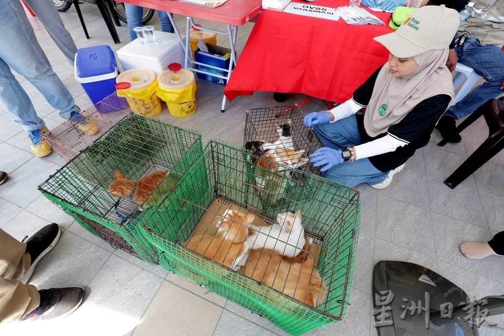 【狂犬病/01】死亡率92% 犬猫都会感染狂犬病