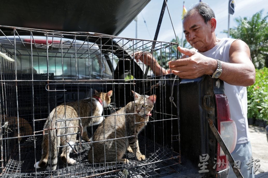 【狂犬病/01】死亡率92% 犬猫都会感染狂犬病