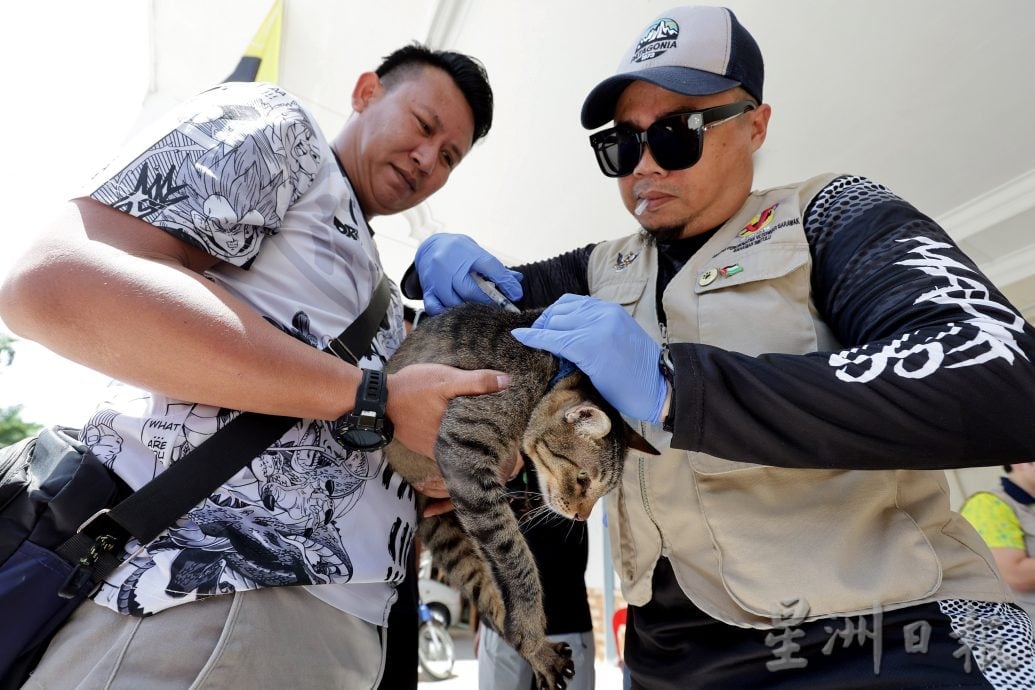 【狂犬病/01】死亡率92% 犬猫都会感染狂犬病