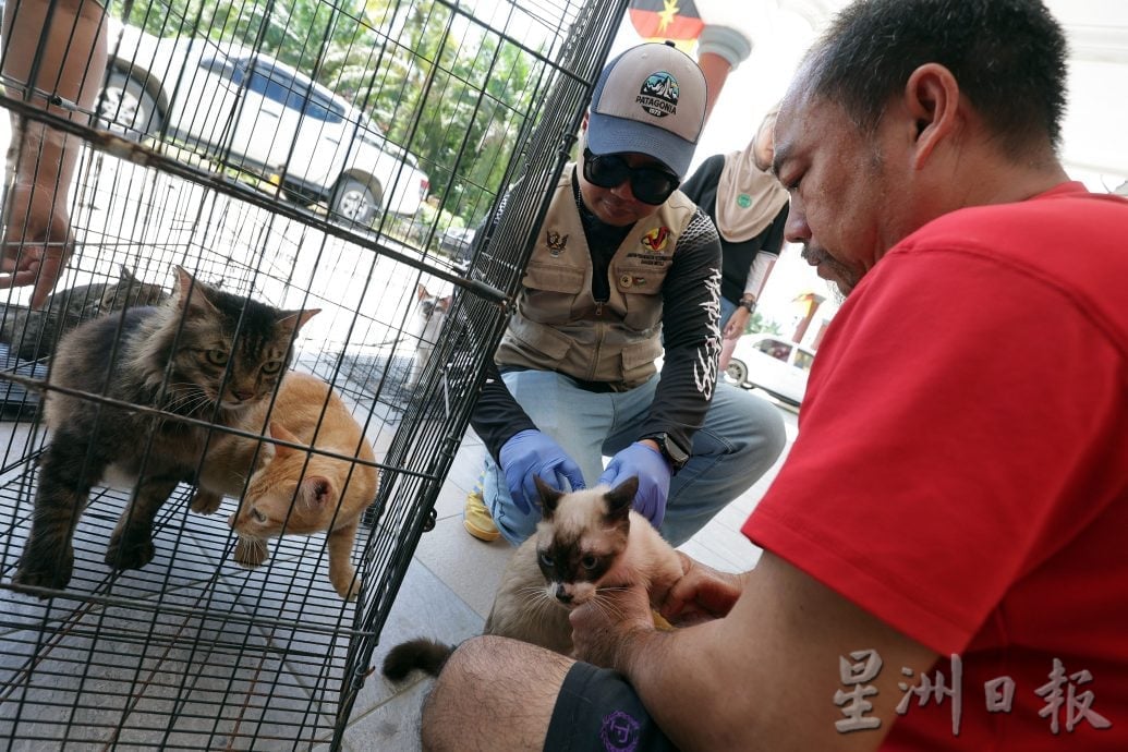 【狂犬病/01】死亡率92% 犬猫都会感染狂犬病