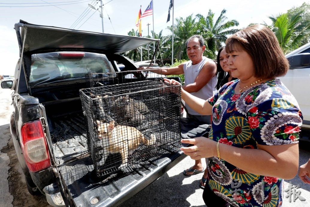 【狂犬病/01】死亡率92% 犬猫都会感染狂犬病