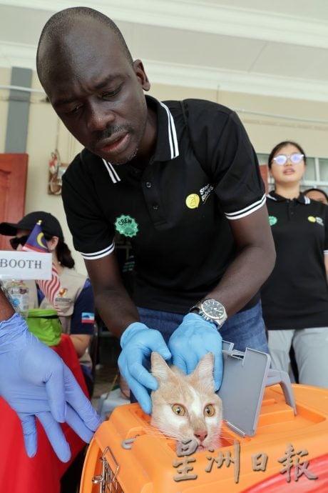 【狂犬病/01】死亡率92% 犬猫都会感染狂犬病