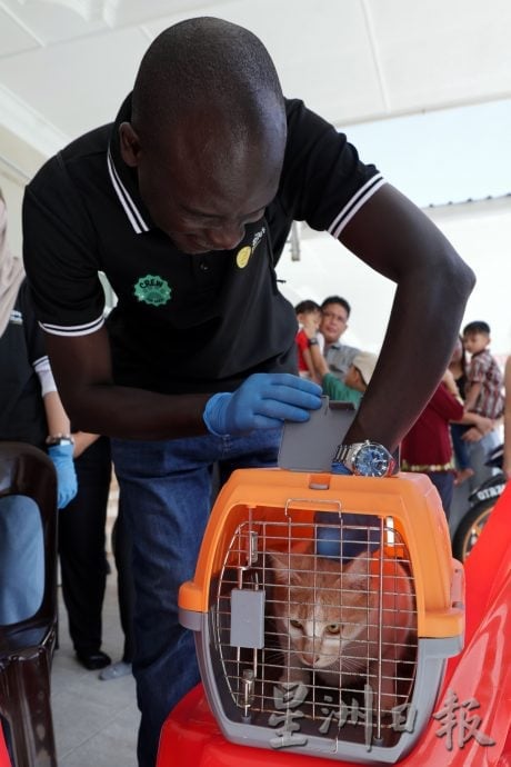 【狂犬病/01】死亡率92% 犬猫都会感染狂犬病