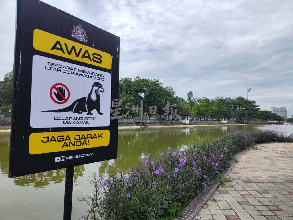 **已签发**柔：第三版头：水獭出没独立公园！新山市厅立警示牌，提醒民众小心防范