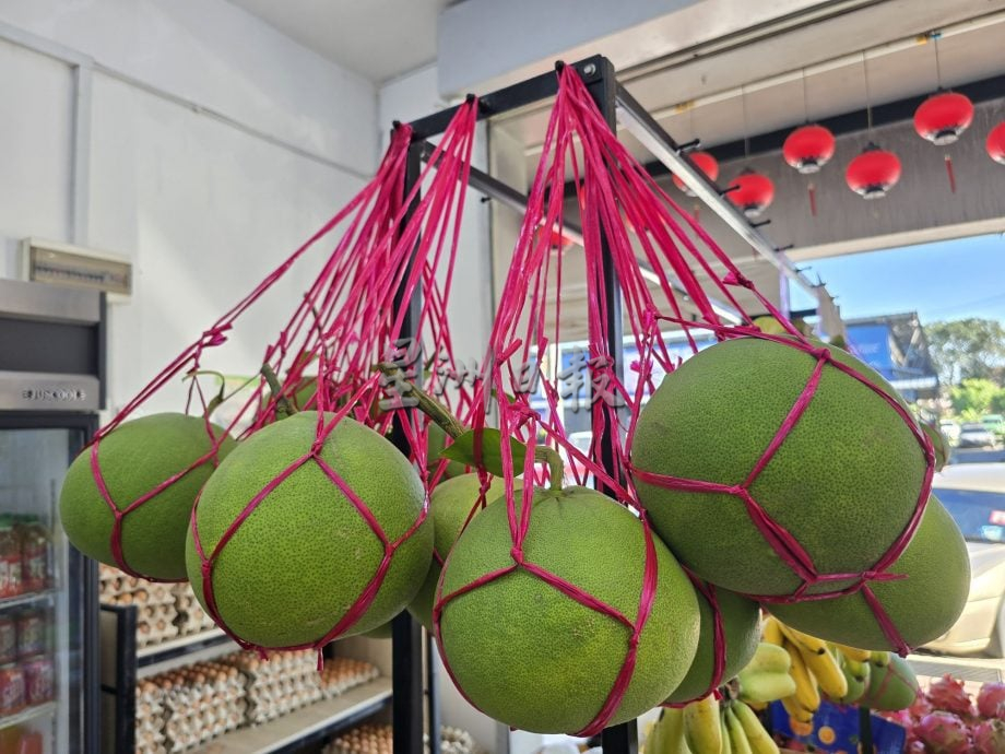 （古城封面主文／签发）中秋柚子市场慢热，业者不敢大量进货