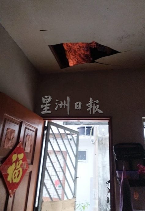 (已签发)柔:**封面**民生特工队:猴群为患惹人烦 亚罗拉花园居民盼当局解决