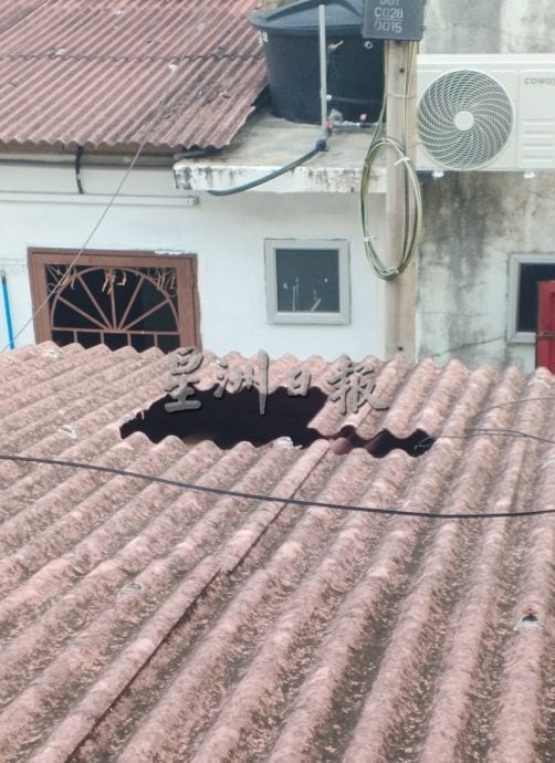 (已签发)柔:**封面**民生特工队:猴群为患惹人烦 亚罗拉花园居民盼当局解决