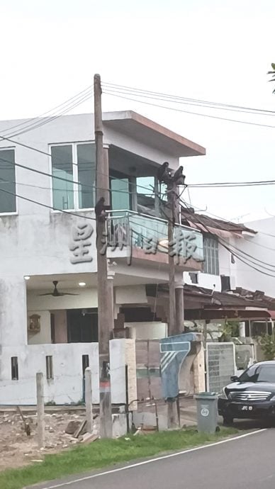 (已签发)柔:**封面**民生特工队:猴群为患惹人烦 亚罗拉花园居民盼当局解决