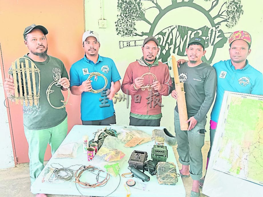 星期天头条封面引文/老虎去哪了