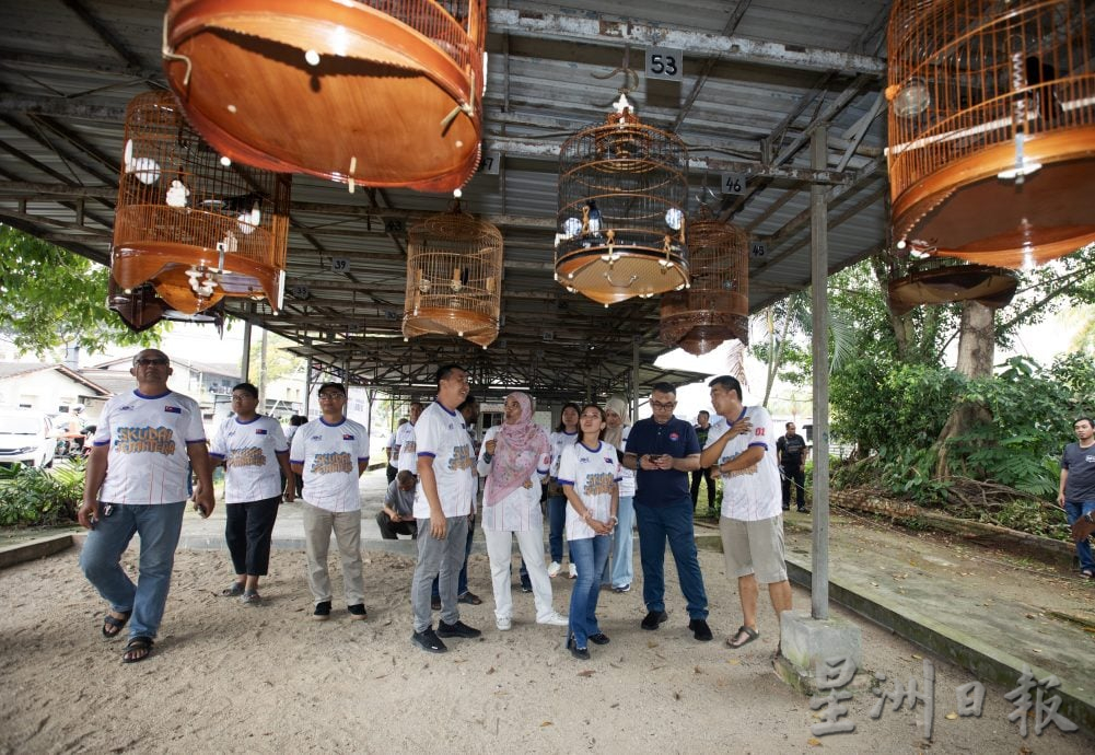 星角摄（10月6日）：百多只高冠鸟和喜鹊争夺“歌王”美誉