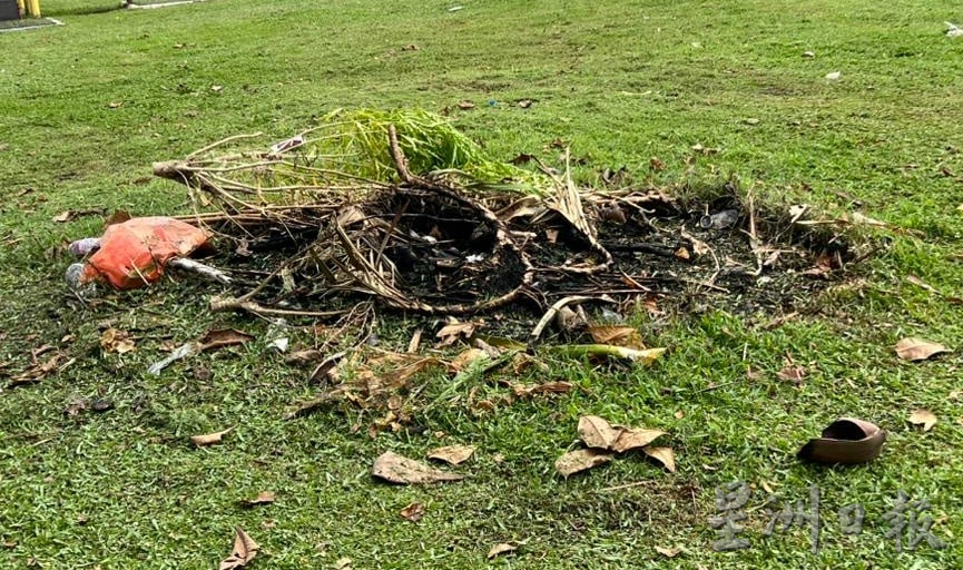 大都会/MBDK拨37万5040令吉改造草场