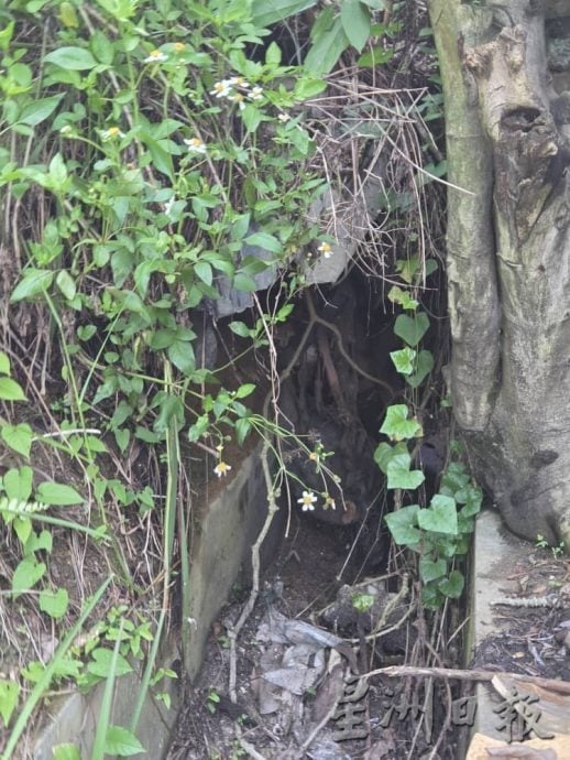 大都会(版3头)/万宜新镇第5区半独立洋房,屋后围墙倒塌,山泥掩屋