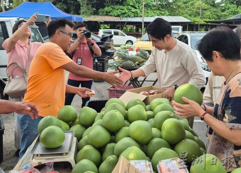 （古城封面副文）阿当阿里派月饼
