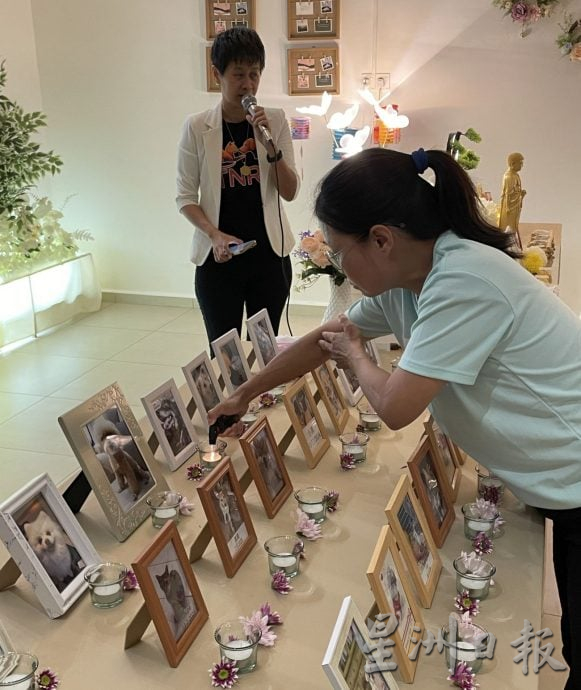 （古城第三版主文）宠物追思会温情满满·主人寄语“彩虹桥”另一端