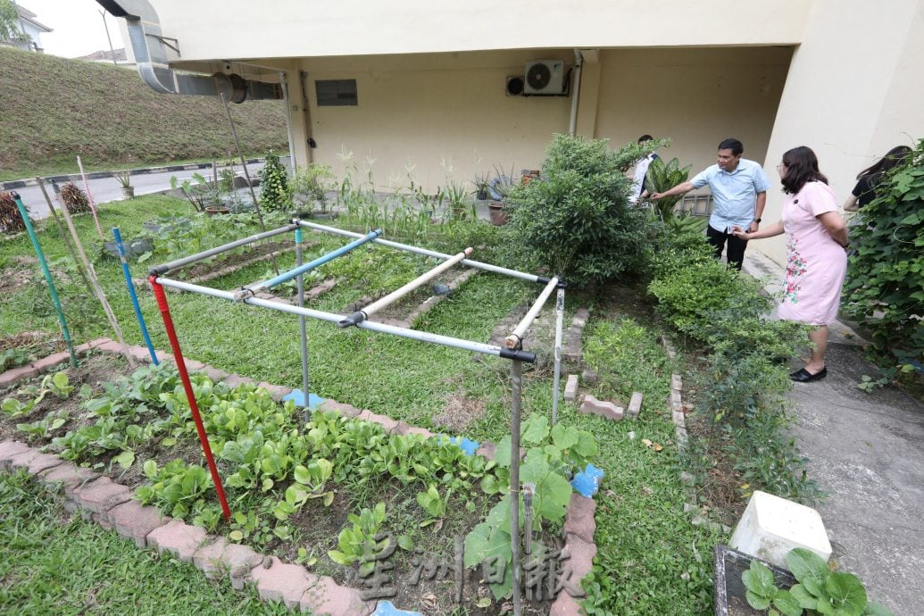 大都会/校园我董/沙登岭华小