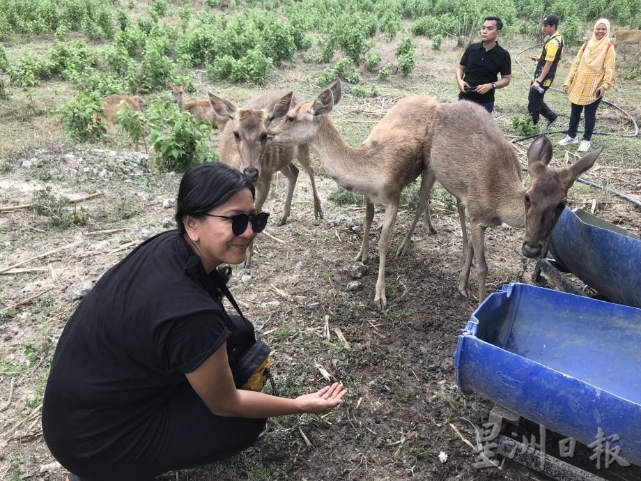 迎2026旅游年 霹推江沙玲珑高乌深游
